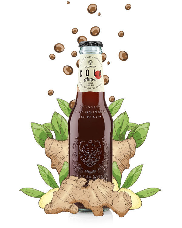 Cola Ginger Bio