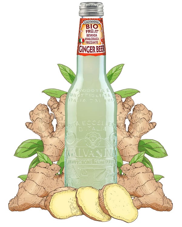 Organic Ginger Beer | Galvanina