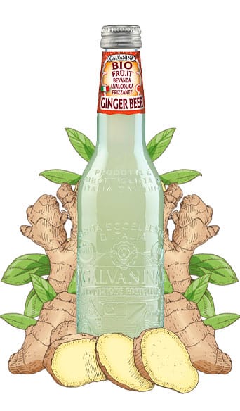 Organic Ginger Beer