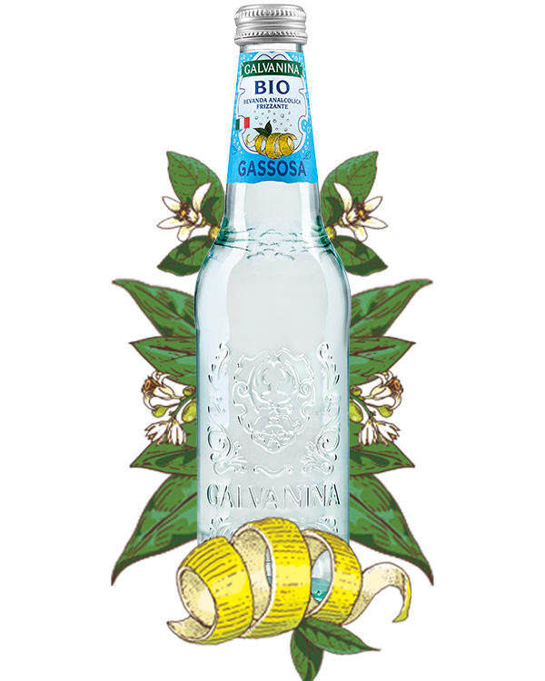 Organic Gassosa