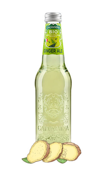 Organic Ginger Ale