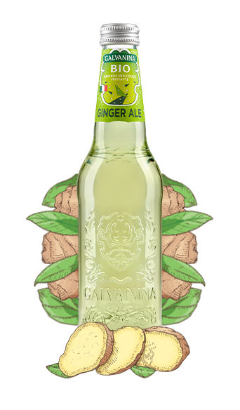 Organic Ginger Ale