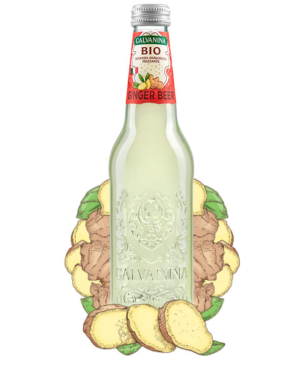 Organic Ginger Beer