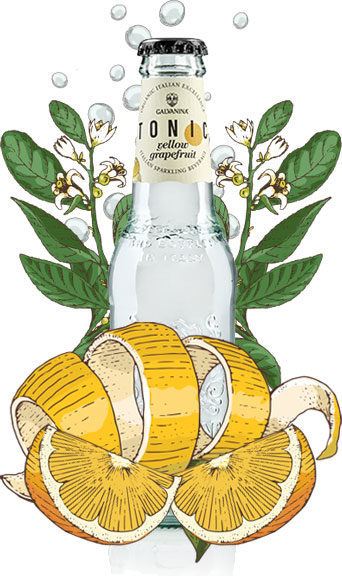 Organic Yellow Grapefruit Tonic