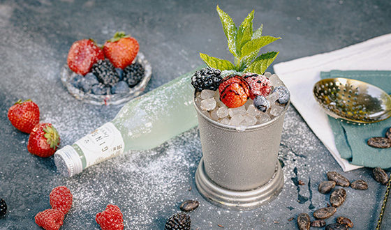 Galvanina Ginger Julep