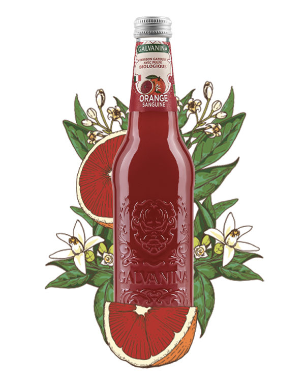 Orange Sanguine Biologique