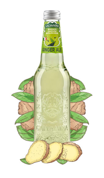 Ginger Ale Biologique