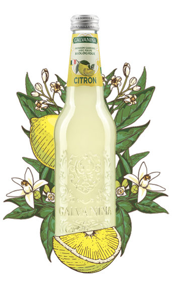 Citron Biologique