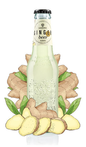 Organiczny Ginger Beer