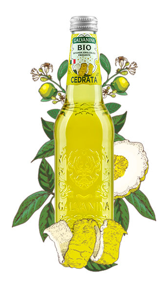 Cedrata Bio