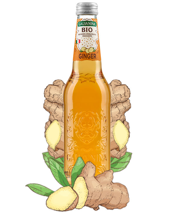 Ginger Bio
