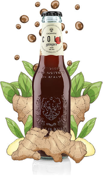 Cola Ginger Bio