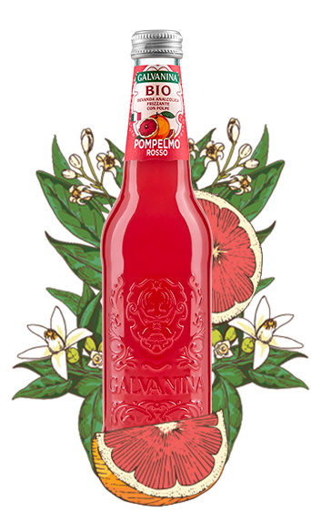 Pompelmo Rosso Bio