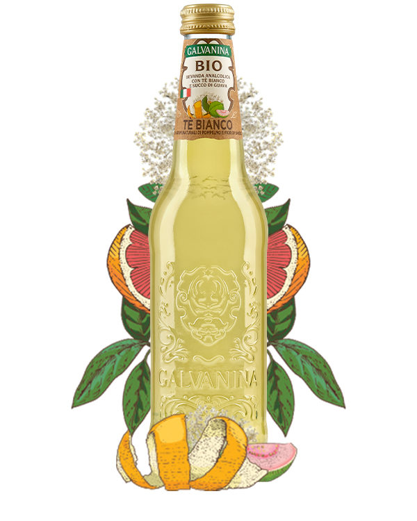 Tè Bianco Bio