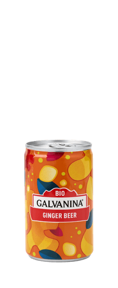 Ginger Beer Classico Bio