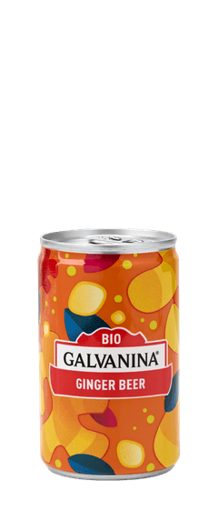 Ginger Beer Classico Bio